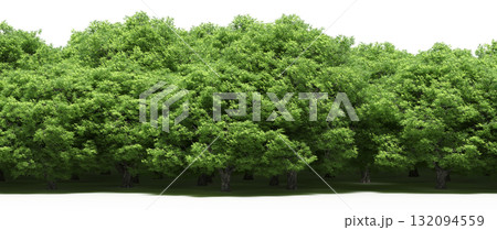 forest line with shadows under the trees, isolated on transparent background, 3D illustration, cg render forest line with shadows under the trees, isolated on transparent background, 3D illustration, cg render 132094559