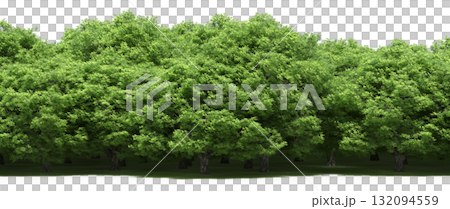 forest line with shadows under the trees, isolated on transparent background, 3D illustration, cg render forest line with shadows under the trees, isolated on transparent background, 3D illustration, cg render 132094559