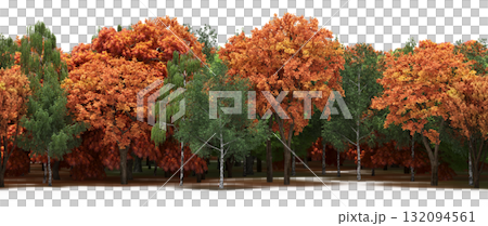 forest line with shadows under the trees, isolated on transparent background, 3D illustration, cg render forest line with shadows under the trees, isolated on transparent background, 3D illustration, cg render 132094561