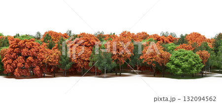 forest line with shadows under the trees, isolated on transparent background, 3D illustration, cg render forest line with shadows under the trees, isolated on transparent background, 3D illustration, cg render 132094562