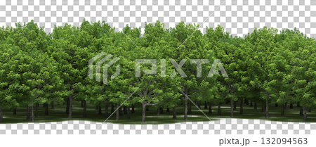 forest line with shadows under the trees, isolated on transparent background, 3D illustration, cg render forest line with shadows under the trees, isolated on transparent background, 3D illustration, cg render 132094563