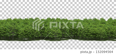 forest line with shadows under the trees, isolated on transparent background, 3D illustration, cg render forest line with shadows under the trees, isolated on transparent background, 3D illustration, cg render 132094564