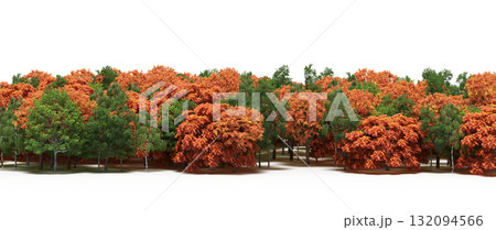 forest line with shadows under the trees, isolated on transparent background, 3D illustration, cg render forest line with shadows under the trees, isolated on transparent background, 3D illustration, cg render 132094566