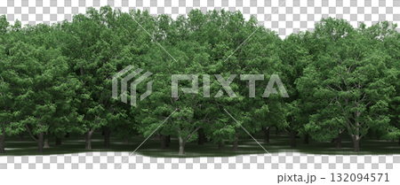 forest line with shadows under the trees, isolated on transparent background, 3D illustration, cg render forest line with shadows under the trees, isolated on transparent background, 3D illustration, cg render 132094571