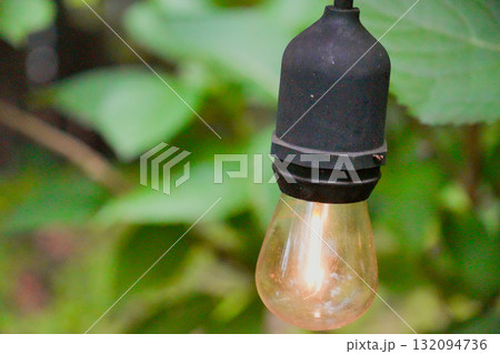 森の中の小さな電球 森の中の小さな電球 132094736