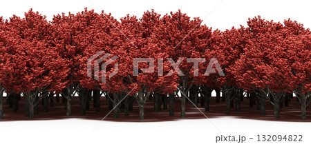 forest line with shadows under the trees, isolated on transparent background, 3D illustration, cg render forest line with shadows under the trees, isolated on transparent background, 3D illustration, cg render 132094822