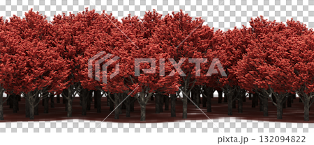 forest line with shadows under the trees, isolated on transparent background, 3D illustration, cg render forest line with shadows under the trees, isolated on transparent background, 3D illustration, cg render 132094822