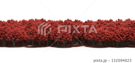 forest line with shadows under the trees, isolated on transparent background, 3D illustration, cg render 132094823