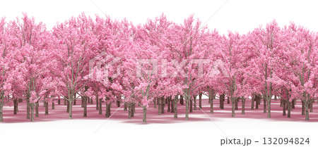 forest line with shadows under the trees, isolated on transparent background, 3D illustration, cg render forest line with shadows under the trees, isolated on transparent background, 3D illustration, cg render 132094824