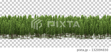forest line with shadows under the trees, isolated on transparent background, 3D illustration, cg render 132094830