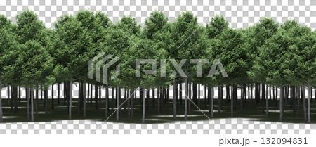 forest line with shadows under the trees, isolated on transparent background, 3D illustration, cg render forest line with shadows under the trees, isolated on transparent background, 3D illustration, cg render 132094831
