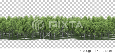 forest line with shadows under the trees, isolated on transparent background, 3D illustration, cg render 132094836