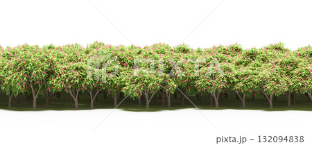 forest line with shadows under the trees, isolated on transparent background, 3D illustration, cg render forest line with shadows under the trees, isolated on transparent background, 3D illustration, cg render 132094838