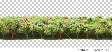 forest line with shadows under the trees, isolated on transparent background, 3D illustration, cg render forest line with shadows under the trees, isolated on transparent background, 3D illustration, cg render 132094838