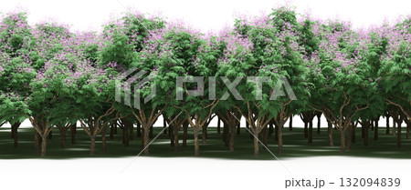 forest line with shadows under the trees, isolated on transparent background, 3D illustration, cg render forest line with shadows under the trees, isolated on transparent background, 3D illustration, cg render 132094839
