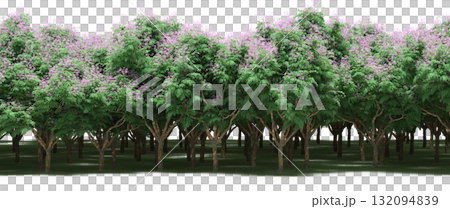 forest line with shadows under the trees, isolated on transparent background, 3D illustration, cg render forest line with shadows under the trees, isolated on transparent background, 3D illustration, cg render 132094839