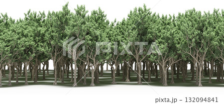 forest line with shadows under the trees, isolated on transparent background, 3D illustration, cg render forest line with shadows under the trees, isolated on transparent background, 3D illustration, cg render 132094841