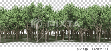forest line with shadows under the trees, isolated on transparent background, 3D illustration, cg render forest line with shadows under the trees, isolated on transparent background, 3D illustration, cg render 132094841