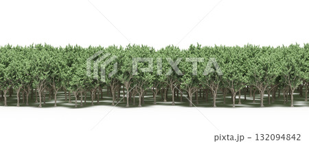 forest line with shadows under the trees, isolated on transparent background, 3D illustration, cg render forest line with shadows under the trees, isolated on transparent background, 3D illustration, cg render 132094842