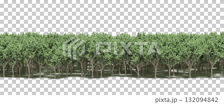 forest line with shadows under the trees, isolated on transparent background, 3D illustration, cg render forest line with shadows under the trees, isolated on transparent background, 3D illustration, cg render 132094842