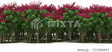 forest line with shadows under the trees, isolated on transparent background, 3D illustration, cg render forest line with shadows under the trees, isolated on transparent background, 3D illustration, cg render 132094845