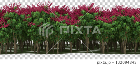 forest line with shadows under the trees, isolated on transparent background, 3D illustration, cg render forest line with shadows under the trees, isolated on transparent background, 3D illustration, cg render 132094845