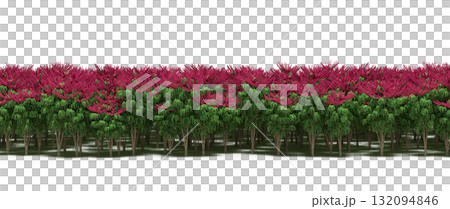 forest line with shadows under the trees, isolated on transparent background, 3D illustration, cg render forest line with shadows under the trees, isolated on transparent background, 3D illustration, cg render 132094846