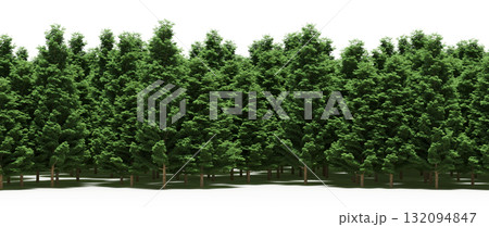 forest line with shadows under the trees, isolated on transparent background, 3D illustration, cg render forest line with shadows under the trees, isolated on transparent background, 3D illustration, cg render 132094847