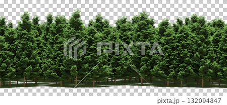 forest line with shadows under the trees, isolated on transparent background, 3D illustration, cg render forest line with shadows under the trees, isolated on transparent background, 3D illustration, cg render 132094847