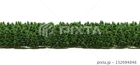 forest line with shadows under the trees, isolated on transparent background, 3D illustration, cg render forest line with shadows under the trees, isolated on transparent background, 3D illustration, cg render 132094848