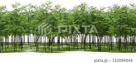 forest line with shadows under the trees, isolated on transparent background, 3D illustration, cg render 132094849