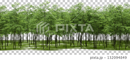 forest line with shadows under the trees, isolated on transparent background, 3D illustration, cg render 132094849