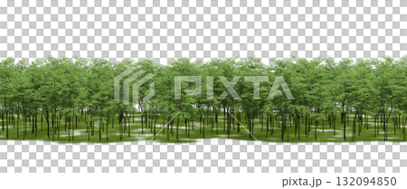 forest line with shadows under the trees, isolated on transparent background, 3D illustration, cg render forest line with shadows under the trees, isolated on transparent background, 3D illustration, cg render 132094850