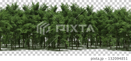 forest line with shadows under the trees, isolated on transparent background, 3D illustration, cg render 132094851