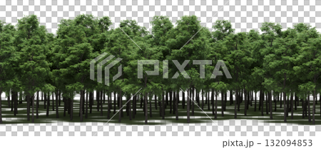 forest line with shadows under the trees, isolated on transparent background, 3D illustration, cg render forest line with shadows under the trees, isolated on transparent background, 3D illustration, cg render 132094853