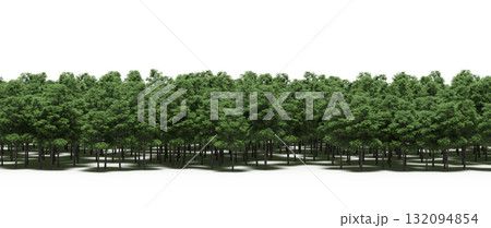 forest line with shadows under the trees, isolated on transparent background, 3D illustration, cg render forest line with shadows under the trees, isolated on transparent background, 3D illustration, cg render 132094854