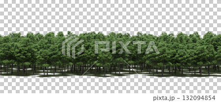 forest line with shadows under the trees, isolated on transparent background, 3D illustration, cg render forest line with shadows under the trees, isolated on transparent background, 3D illustration, cg render 132094854