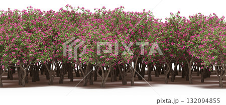 forest line with shadows under the trees, isolated on transparent background, 3D illustration, cg render 132094855