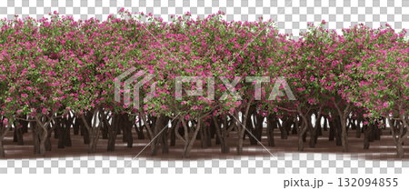 forest line with shadows under the trees, isolated on transparent background, 3D illustration, cg render 132094855