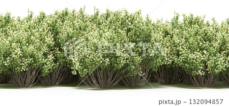 forest line with shadows under the trees, isolated on transparent background, 3D illustration, cg render 132094857
