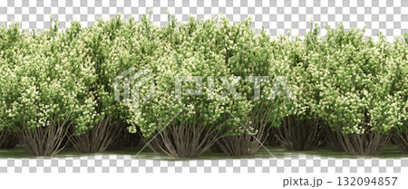 forest line with shadows under the trees, isolated on transparent background, 3D illustration, cg render forest line with shadows under the trees, isolated on transparent background, 3D illustration, cg render 132094857