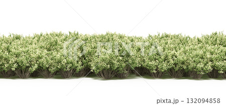 forest line with shadows under the trees, isolated on transparent background, 3D illustration, cg render 132094858