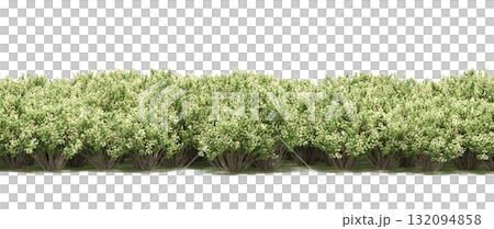 forest line with shadows under the trees, isolated on transparent background, 3D illustration, cg render 132094858