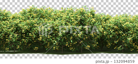 forest line with shadows under the trees, isolated on transparent background, 3D illustration, cg render forest line with shadows under the trees, isolated on transparent background, 3D illustration, cg render 132094859