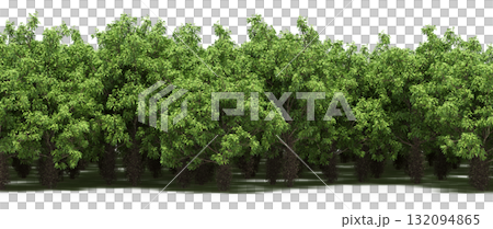 forest line with shadows under the trees, isolated on transparent background, 3D illustration, cg render 132094865