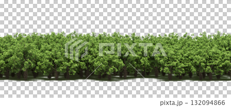 forest line with shadows under the trees, isolated on transparent background, 3D illustration, cg render 132094866