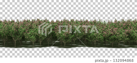 forest line with shadows under the trees, isolated on transparent background, 3D illustration, cg render forest line with shadows under the trees, isolated on transparent background, 3D illustration, cg render 132094868