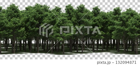 forest line with shadows under the trees, isolated on transparent background, 3D illustration, cg render 132094871