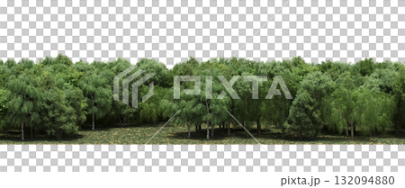 forest line with shadows under the trees, isolated on transparent background, 3D illustration, cg render forest line with shadows under the trees, isolated on transparent background, 3D illustration, cg render 132094880