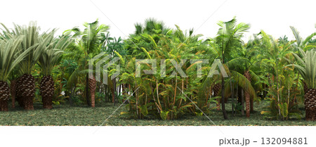forest line with shadows under the trees, isolated on transparent background, 3D illustration, cg render forest line with shadows under the trees, isolated on transparent background, 3D illustration, cg render 132094881